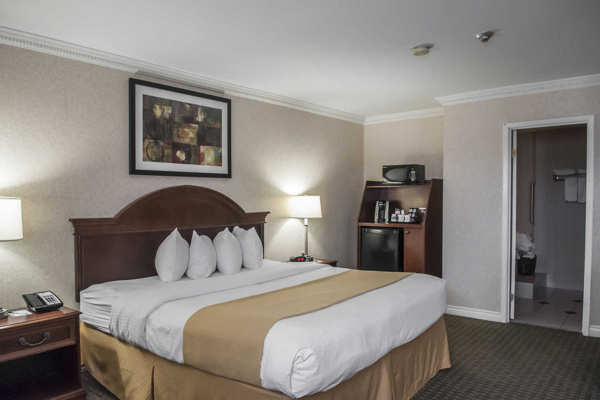 Quality Inn Airport West Mississauga Room photo